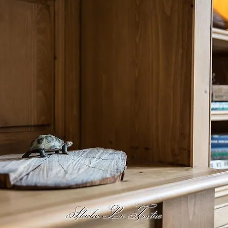 La Venelle Du Bassin * Онфлёр