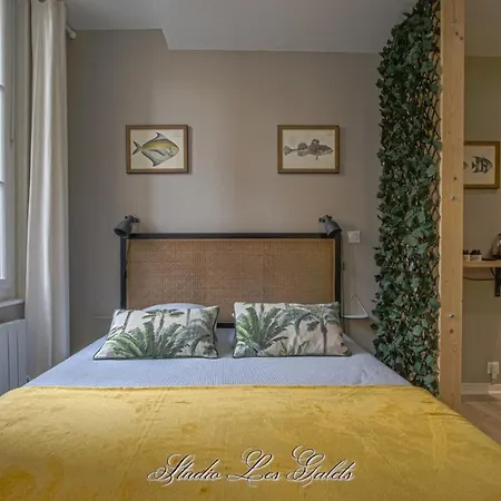 La Venelle Du Bassin