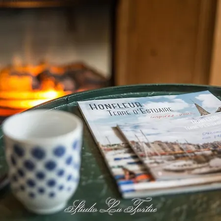 شقة La Venelle Du Bassin أونفلور