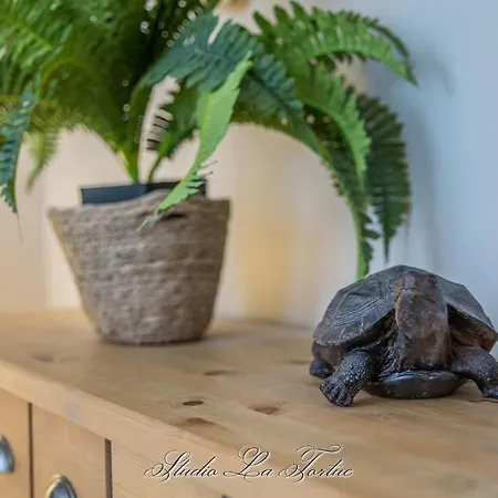 La Venelle Du Bassin أونفلور